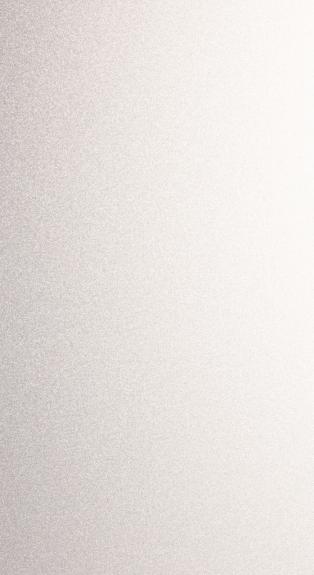 WHITE SILVER 3L