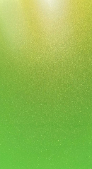 YELLOW GREEN 3L